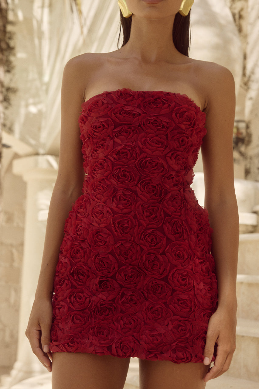 Vita Scarlet Rose Mini Elbise
